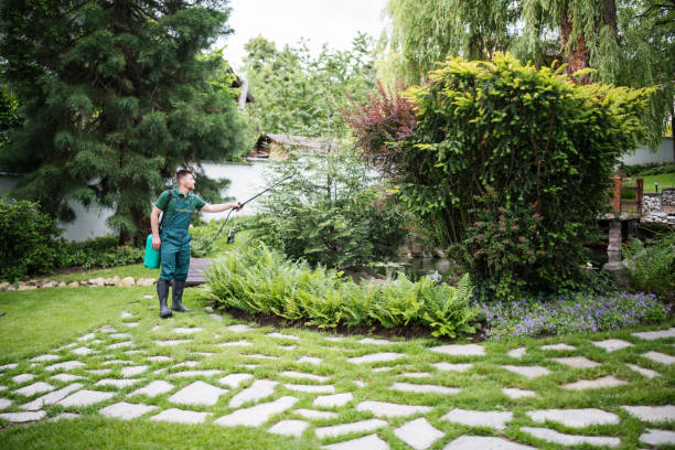 Best Affordable Pest Control Services  in Hawley, MN