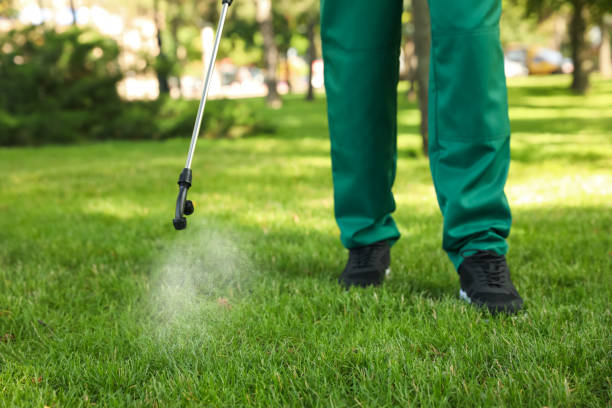 Best Termite Control Services  in Hawley, MN