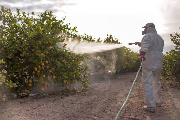 Best Exterminator Services  in Hawley, MN