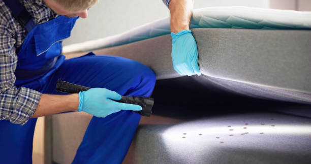 Best Pest Control Near Me in Hawley, MN