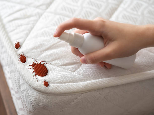 Best Pest Inspection Near Me  in Hawley, MN