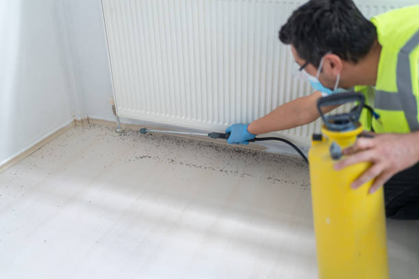 Professional Pest Control in Hawley, MN
