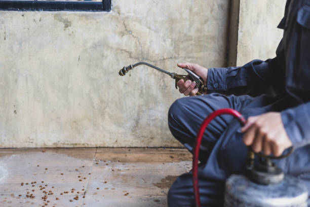 Best Wasp Removal Services  in Hawley, MN