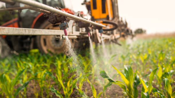 Best Best Pest Control Companies  in Hawley, MN